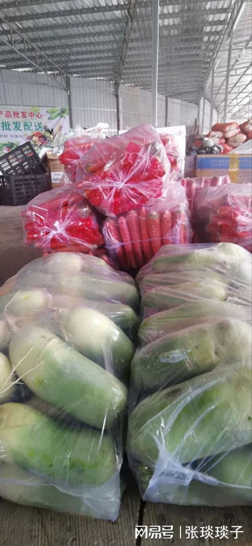 一份厚禮 南充嘉陵頭洞橋農產品批發中心國慶試營業，開啟海味干貨批發新篇章